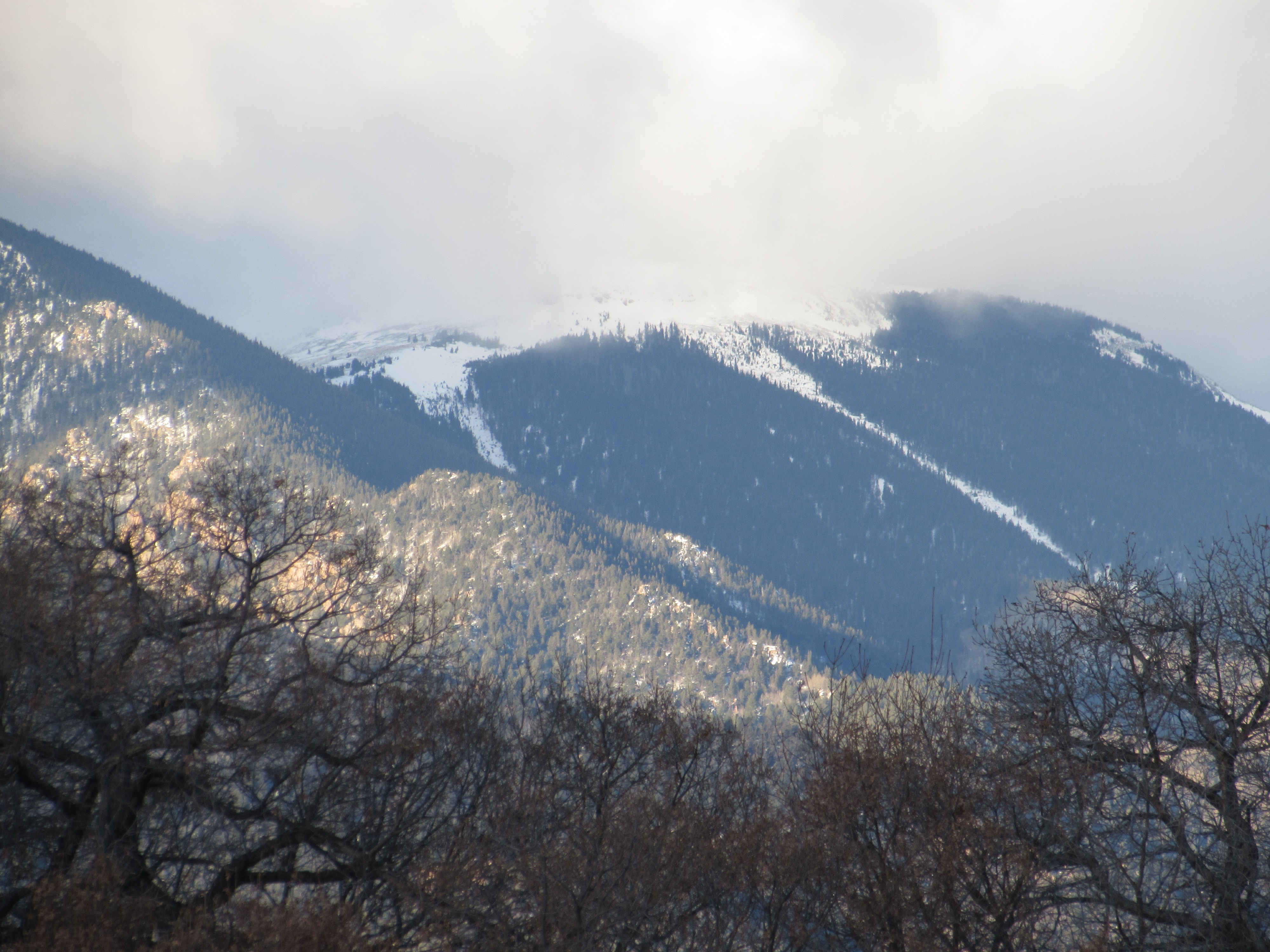 Greenhorn in the clouds.